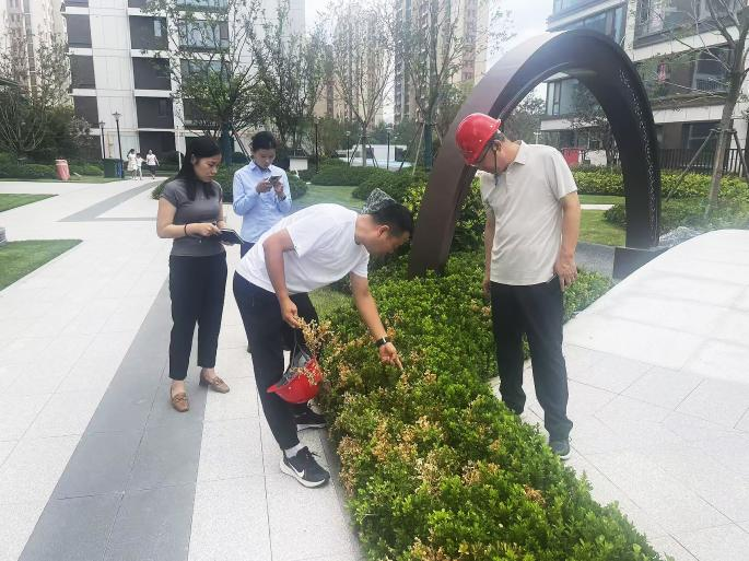 昱景兰庭开展一期绿化工程品质校准与优化提升专项工作